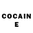 COCAIN Fish Scale Nata Plekhanova