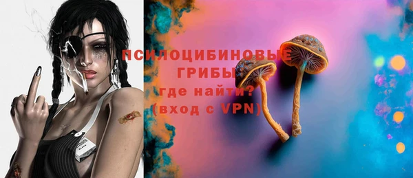 индика Алексеевка