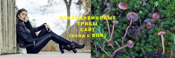 марки lsd Алзамай