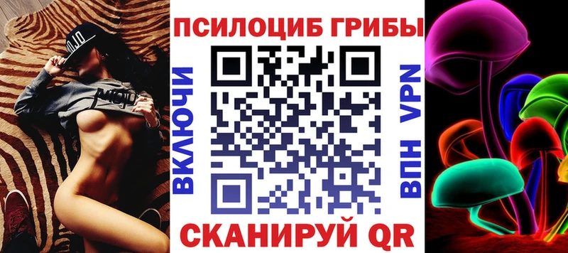дарнет шоп Кыштым Галлюциногенные грибы Psilocybe