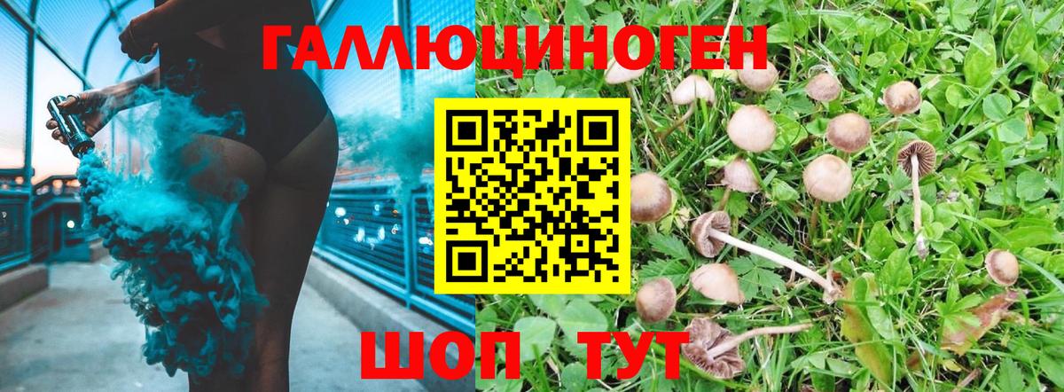 Псилоцибиновые грибы мухоморы Кыштым