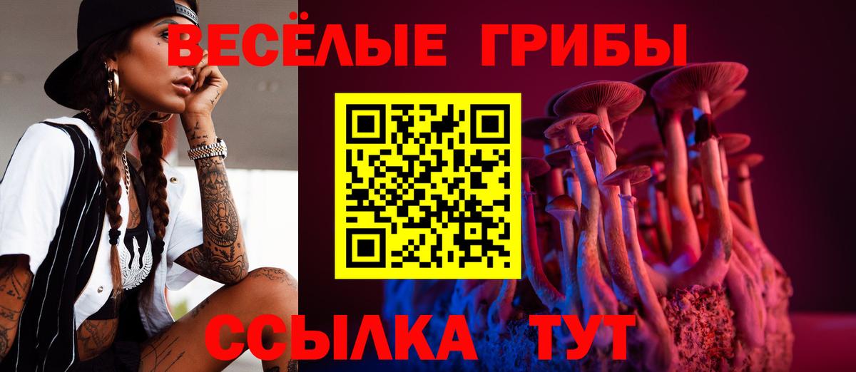 Кыштым  Псилоцибиновые грибы мицелий  Вход с VPN 